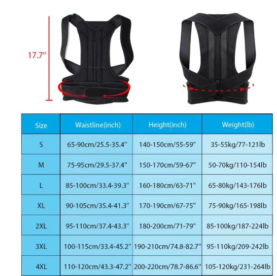Support dorsal d'aide à la posture